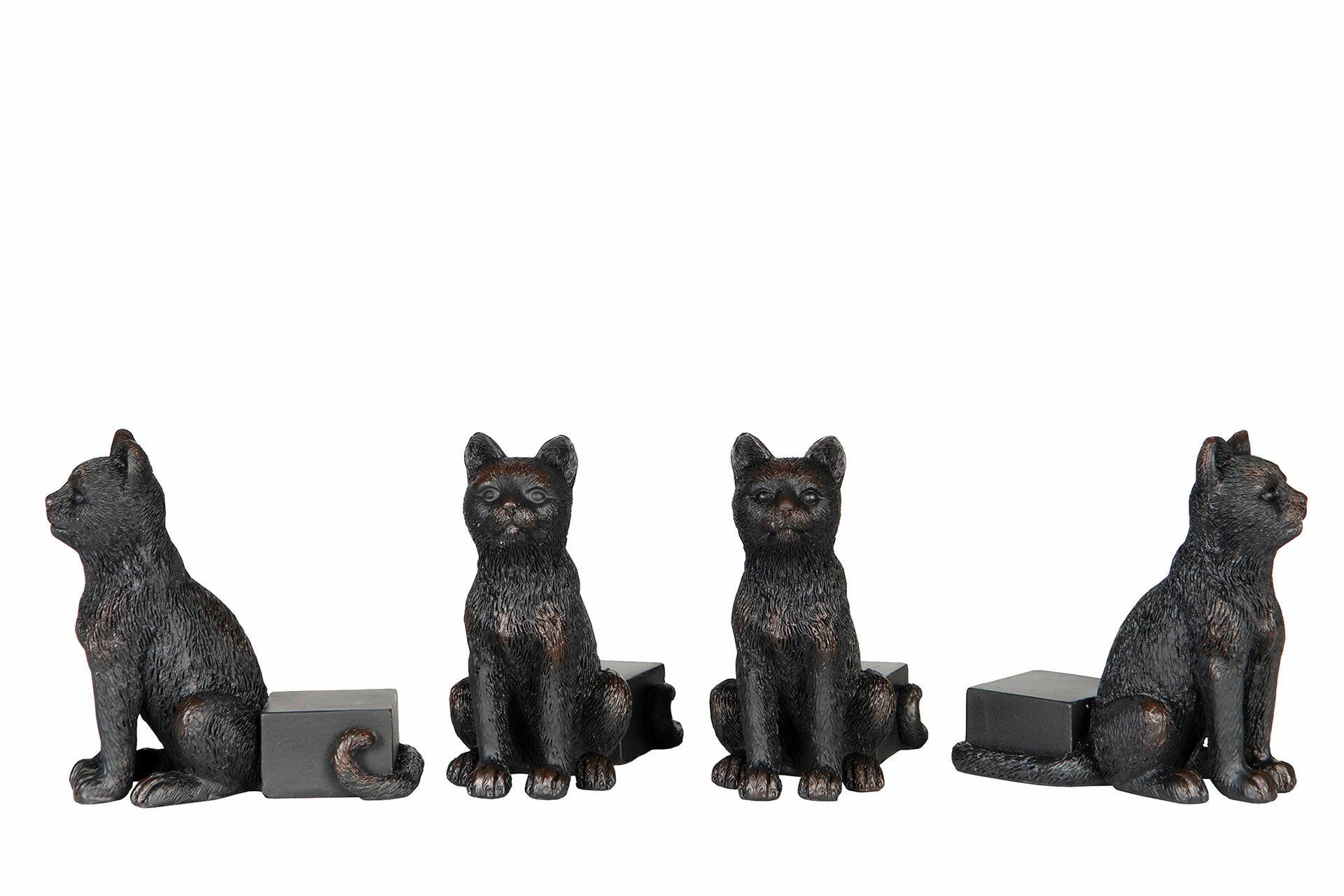 Krukkefot - katt