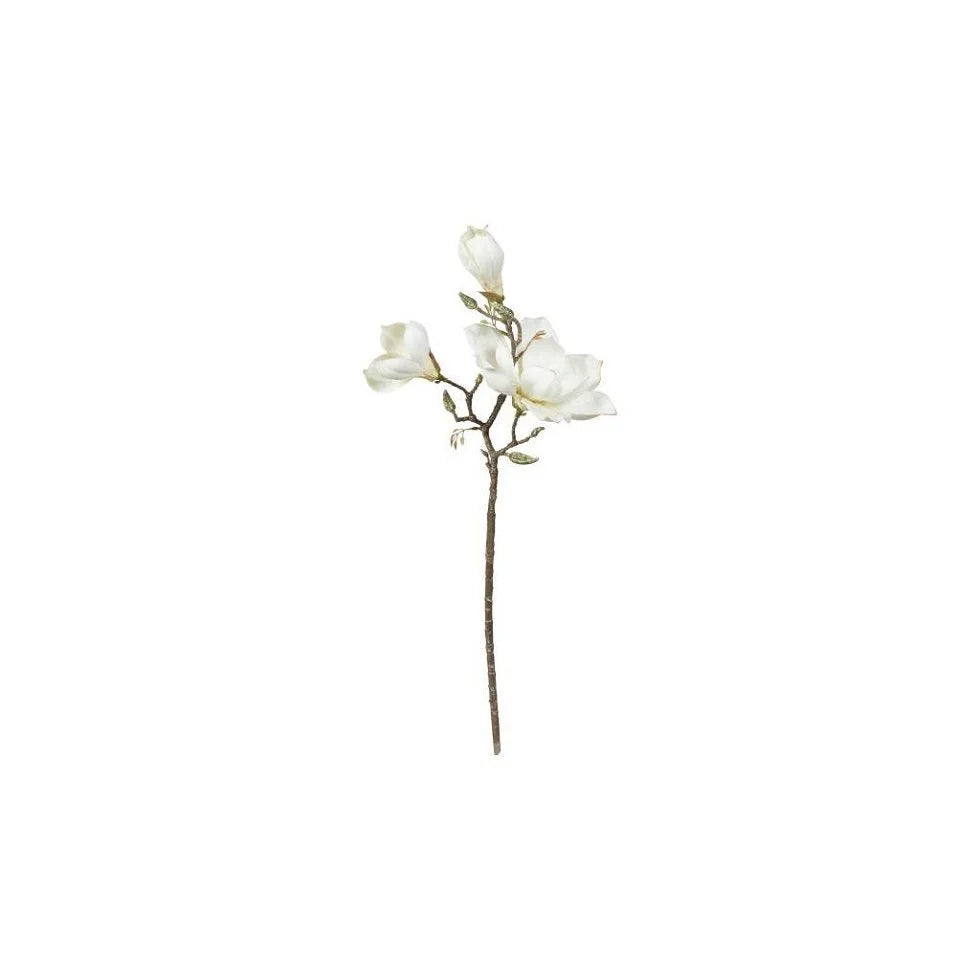 Magnolia-gren – Naturtro Blomstergren, 70 cm