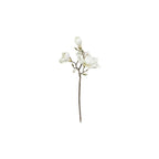 Magnolia-gren – Naturtro Blomstergren, 70 cm