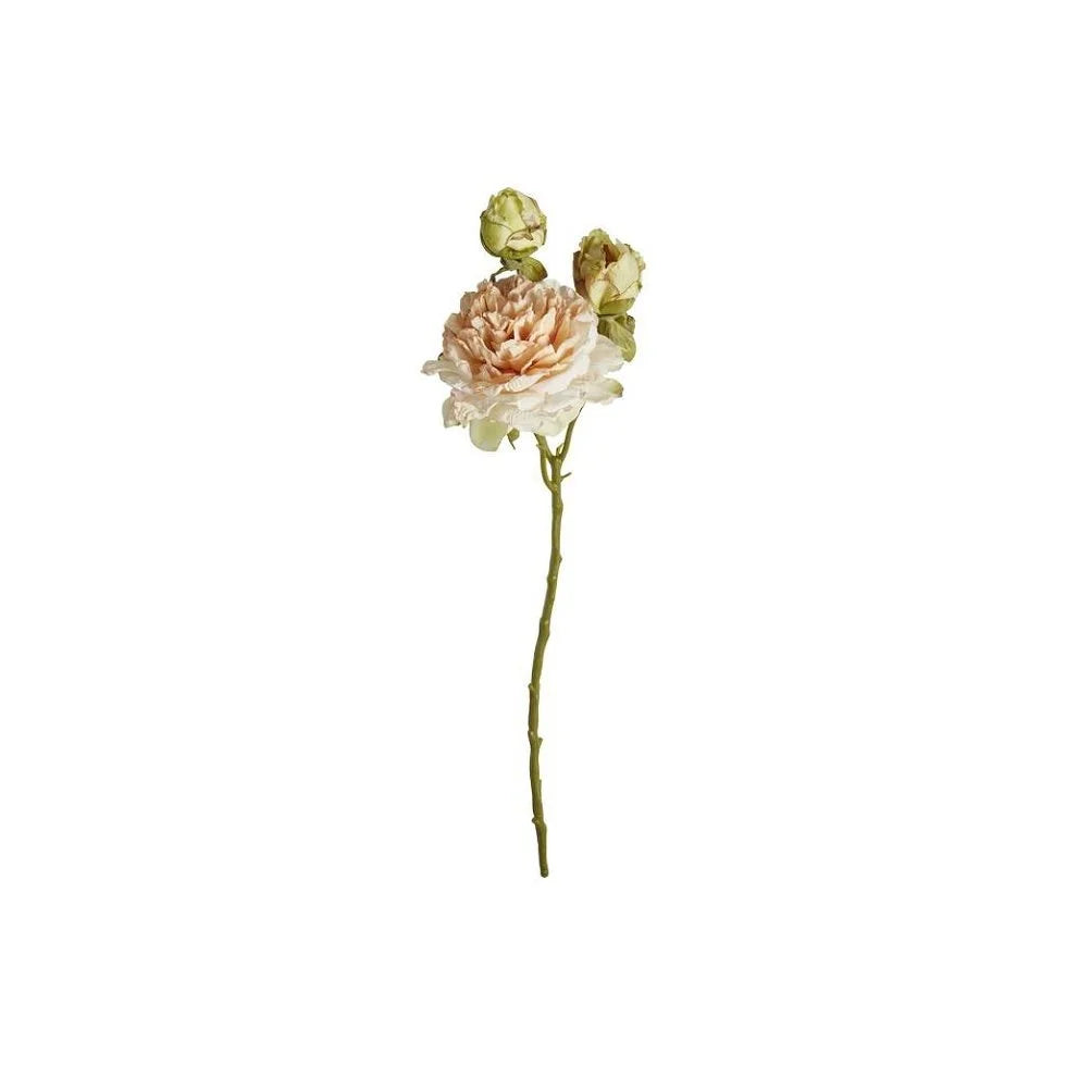 Naturtro Peon – 64 cm, Dus Rosa med Knopper