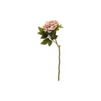 Naturtro Peon – 64 cm, Varme Rosatoner