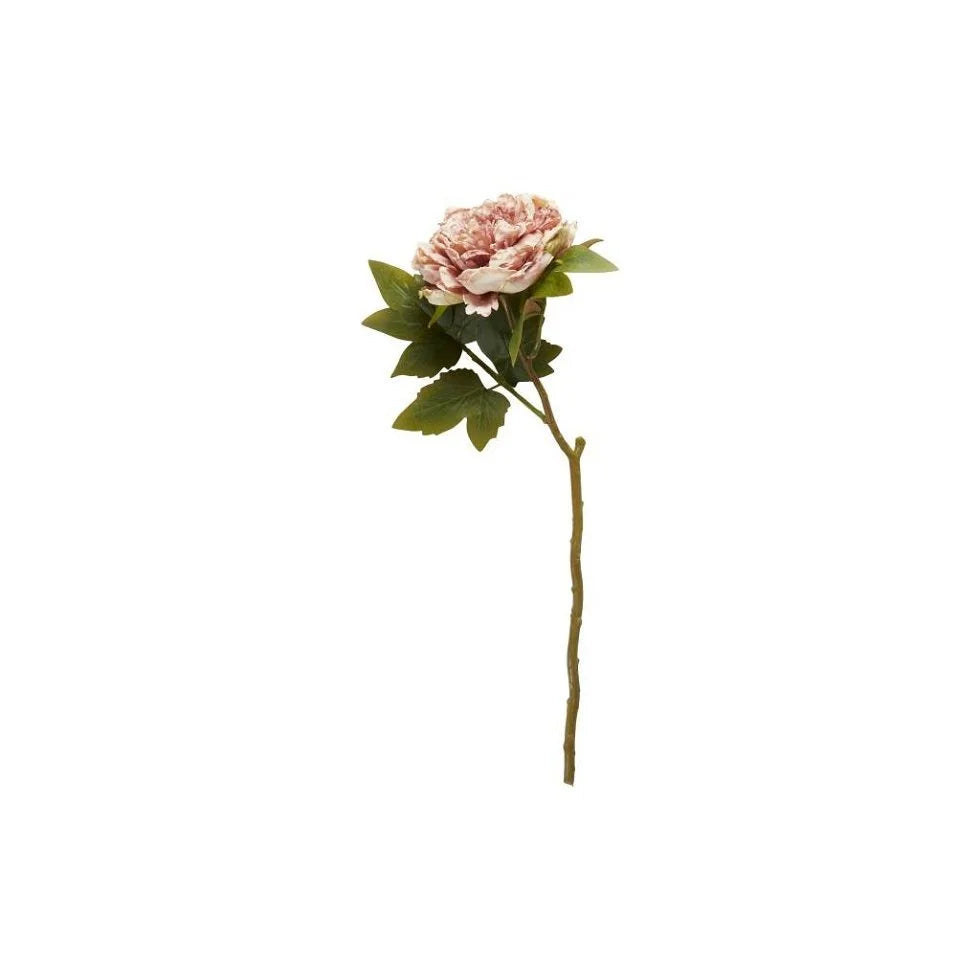 Naturtro Peon – 64 cm, Varme Rosatoner