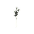 Eucalyptusgren – Naturtro, 58 cm med Flere Kvister