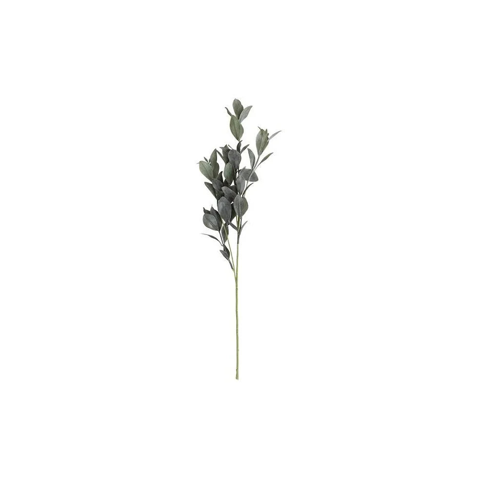 Eucalyptusgren – Naturtro, 58 cm med Flere Kvister